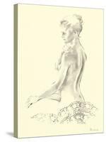 Narcisse II-Deborah Pearce-Stretched Canvas