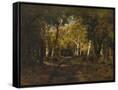 Canvas Black