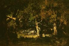 Wet Pasture, C.1870-Narcisse Virgile Diaz de la Pena-Giclee Print