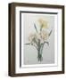 Narcisses-Pierre-Joseph Redoute-Framed Art Print