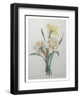 Narcisses-Pierre-Joseph Redoute-Framed Art Print