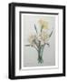 Narcisses-Pierre-Joseph Redoute-Framed Art Print