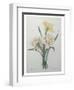 Narcisses-Pierre-Joseph Redoute-Framed Art Print