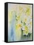 Narcissi and Freesia-Karen Armitage-Framed Stretched Canvas