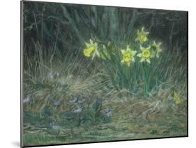 Narcissi and Violets, circa 1867-Jean-François Millet-Mounted Giclee Print