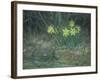 Narcissi and Violets, circa 1867-Jean-François Millet-Framed Giclee Print