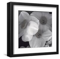 Narcissi for the Wedding I-Richard Sutton-Framed Art Print