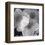 Narcissi for the Wedding I-Richard Sutton-Framed Art Print