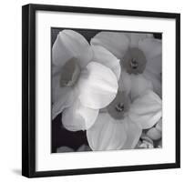 Narcissi for the Wedding I-Richard Sutton-Framed Art Print