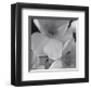 Narcissi for the Wedding II-Richard Sutton-Framed Premium Giclee Print
