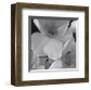 Narcissi for the Wedding II-Richard Sutton-Framed Premium Giclee Print