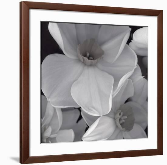 Narcissi for the Wedding II-Richard Sutton-Framed Art Print