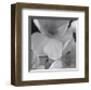 Narcissi for the Wedding II-Richard Sutton-Framed Art Print