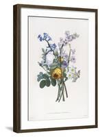 Narcissi, Rosa, Hyacynth, 1805-Jean-Louis Prevost-Framed Giclee Print