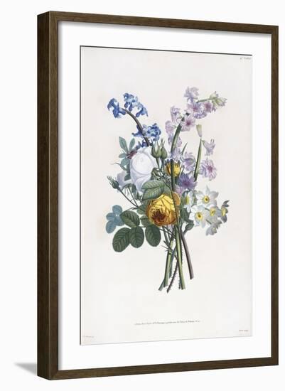 Narcissi, Rosa, Hyacynth, 1805-Jean-Louis Prevost-Framed Giclee Print