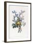 Narcissi, Rosa, Hyacynth, 1805-Jean-Louis Prevost-Framed Giclee Print