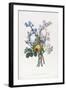 Narcissi, Rosa, Hyacynth, 1805-Jean-Louis Prevost-Framed Giclee Print