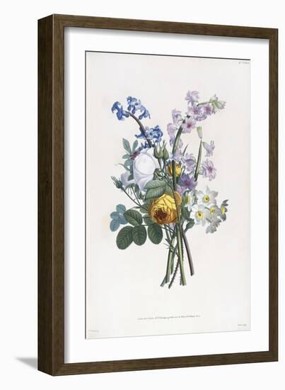 Narcissi, Rosa, Hyacynth, 1805-Jean-Louis Prevost-Framed Giclee Print