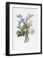 Narcissi, Rosa, Hyacynth, 1805-Jean-Louis Prevost-Framed Giclee Print