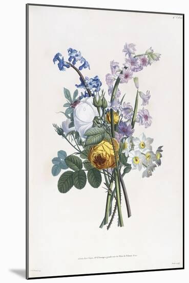 Narcissi, Rosa, Hyacynth, 1805-Jean-Louis Prevost-Mounted Giclee Print