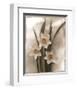 Narcissi Seduction-Richard Sutton-Framed Art Print