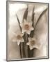 Narcissi Seduction-Richard Sutton-Mounted Art Print