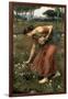 Narcissus, 1912-John William Waterhouse-Framed Giclee Print