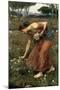 Narcissus, 1912-John William Waterhouse-Mounted Giclee Print