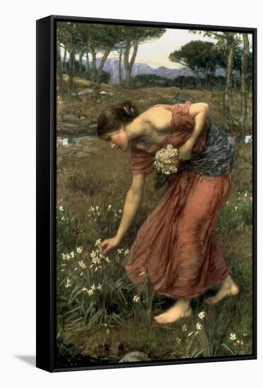 Narcissus, 1912-John William Waterhouse-Framed Stretched Canvas