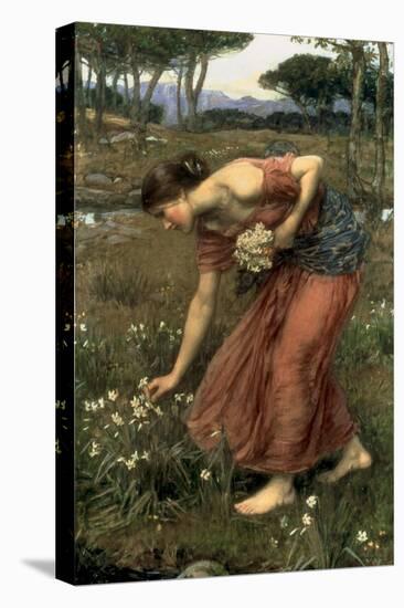 Narcissus, 1912-John William Waterhouse-Stretched Canvas