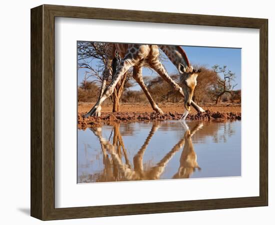 Narcissus,, 2019-Eric Meyer-Framed Photographic Print