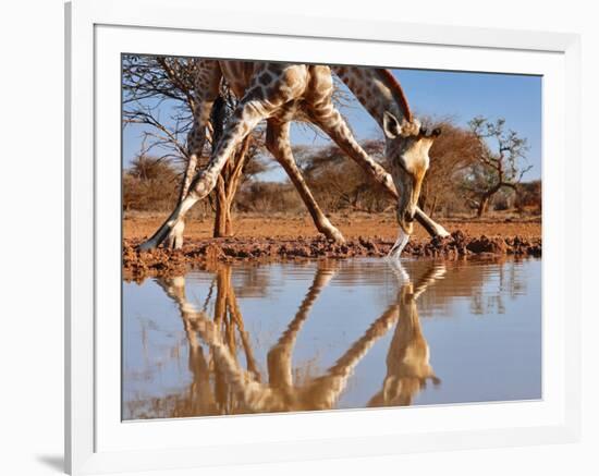 Narcissus,, 2019-Eric Meyer-Framed Photographic Print