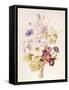 Narcissus and Other Flowers, 1840 (W/C on Paper)-French School-Framed Stretched Canvas