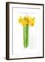 Narcissus Bunch; 2014;-John Keeling-Framed Giclee Print