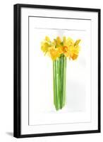 Narcissus Bunch; 2014;-John Keeling-Framed Giclee Print