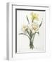 Narcissus Gouani (Double Daffodil), 1827-Pierre Joseph Redoute-Framed Giclee Print