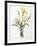 Narcissus Gouani (Double Daffodil), 1827-Pierre Joseph Redoute-Framed Giclee Print