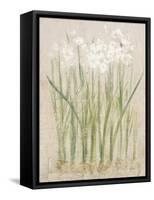 Narcissus Light-Cheri Blum-Framed Stretched Canvas