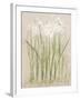 Narcissus Light-Cheri Blum-Framed Art Print