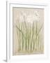 Narcissus Light-Cheri Blum-Framed Art Print