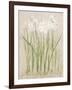 Narcissus Light-Cheri Blum-Framed Art Print