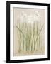 Narcissus Light-Cheri Blum-Framed Art Print