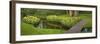 Narcissus Reflecting in Small Pond-Anna Miller-Framed Photographic Print