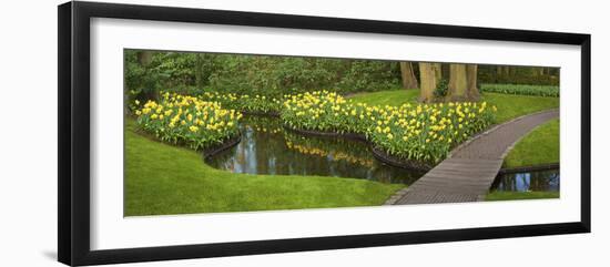 Narcissus Reflecting in Small Pond-Anna Miller-Framed Photographic Print