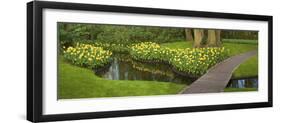 Narcissus Reflecting in Small Pond-Anna Miller-Framed Photographic Print