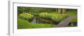 Narcissus Reflecting in Small Pond-Anna Miller-Framed Photographic Print