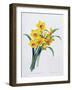 Narcissus Tazetta (Coloured Engraving)-Pierre-Joseph Redouté-Framed Giclee Print