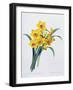 Narcissus Tazetta (Coloured Engraving)-Pierre-Joseph Redouté-Framed Giclee Print