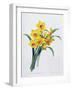 Narcissus Tazetta (Coloured Engraving)-Pierre-Joseph Redouté-Framed Giclee Print