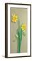 Narcissus-M^ Allegri-Framed Art Print